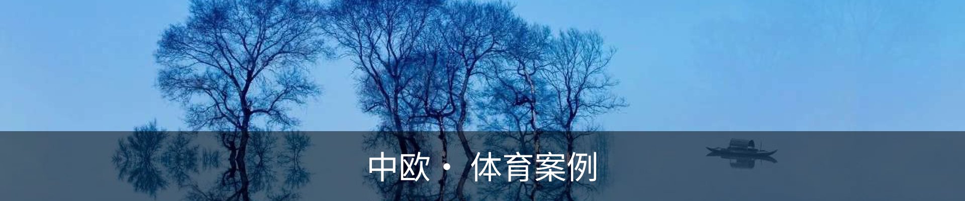 中欧· 体育案例